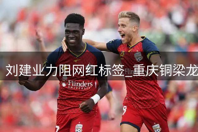 刘建业力阻"网红"标签 重庆铜梁龙硬仗在即