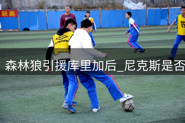 森林狼引援库里加后 尼克斯是否该出手签下迪温？