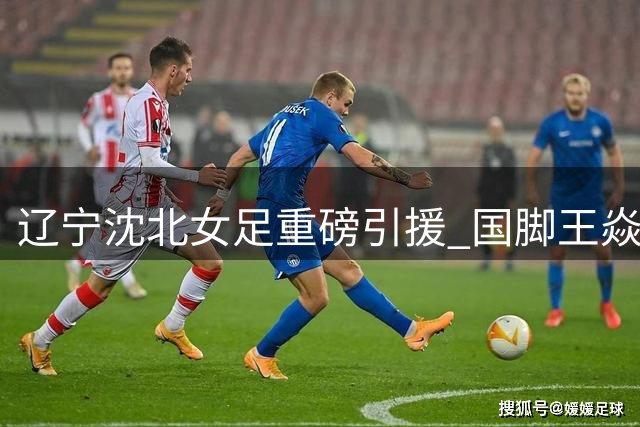 辽宁沈北女足重磅引援 国脚王焱携手经验老将梅雪加盟