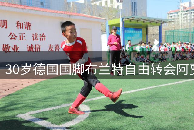 30岁德国国脚布兰特自由转会阿贾克斯 签下五年长约